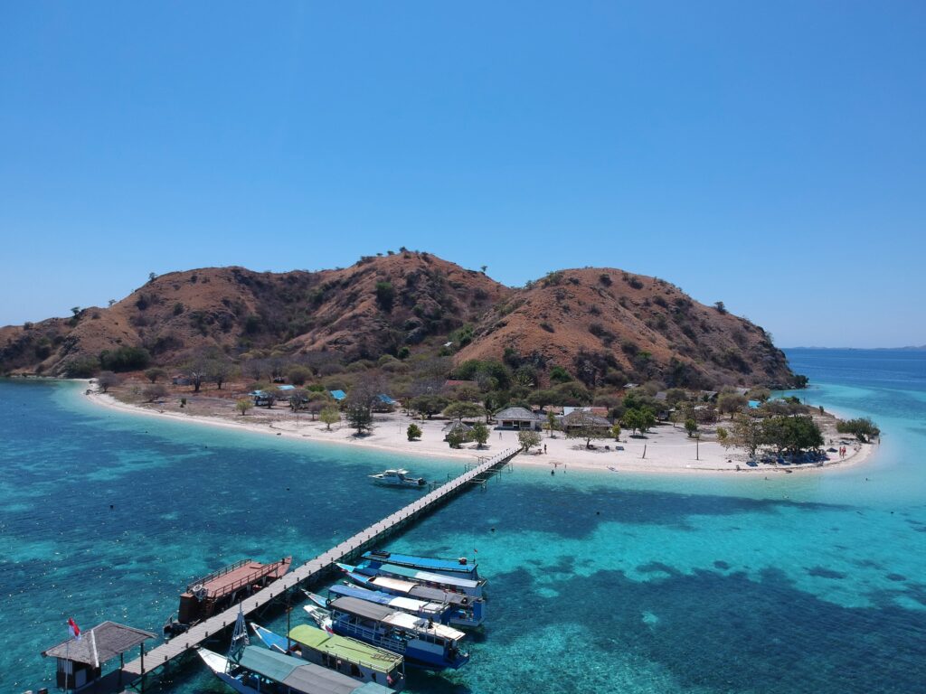 cosa vedere in indonesia: Komodo International Park
