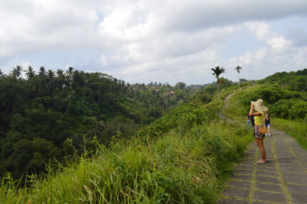 cosa vedere in Indonesia: Ubud
