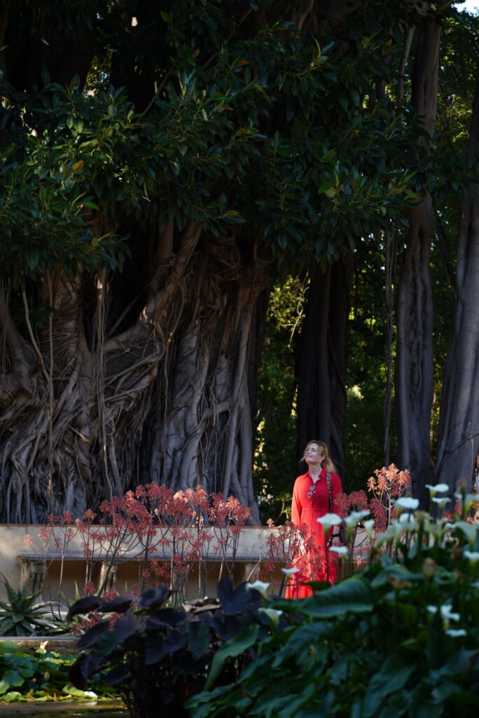 cosa vedere a palermo in 3 giorni: orto botanico