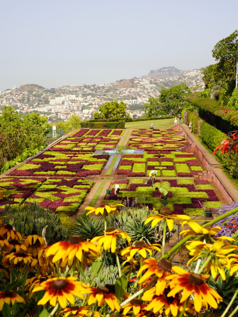cosa vedere a Madeira in una settimana: Jardim botanico