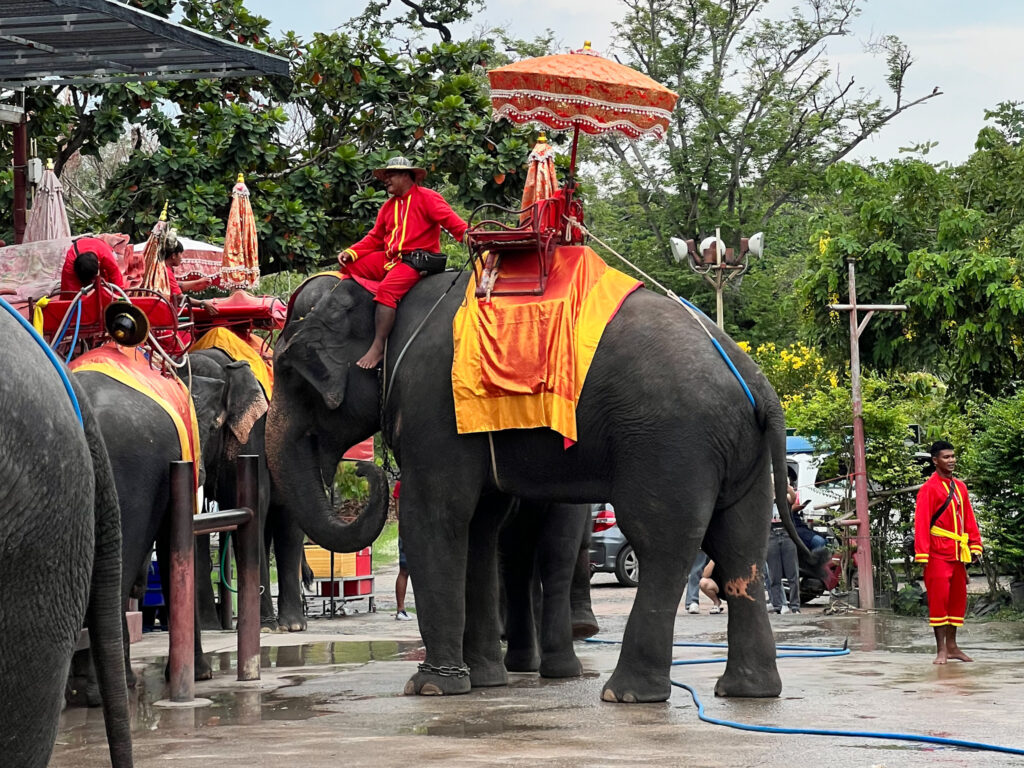 cose da non fare in Thailandia