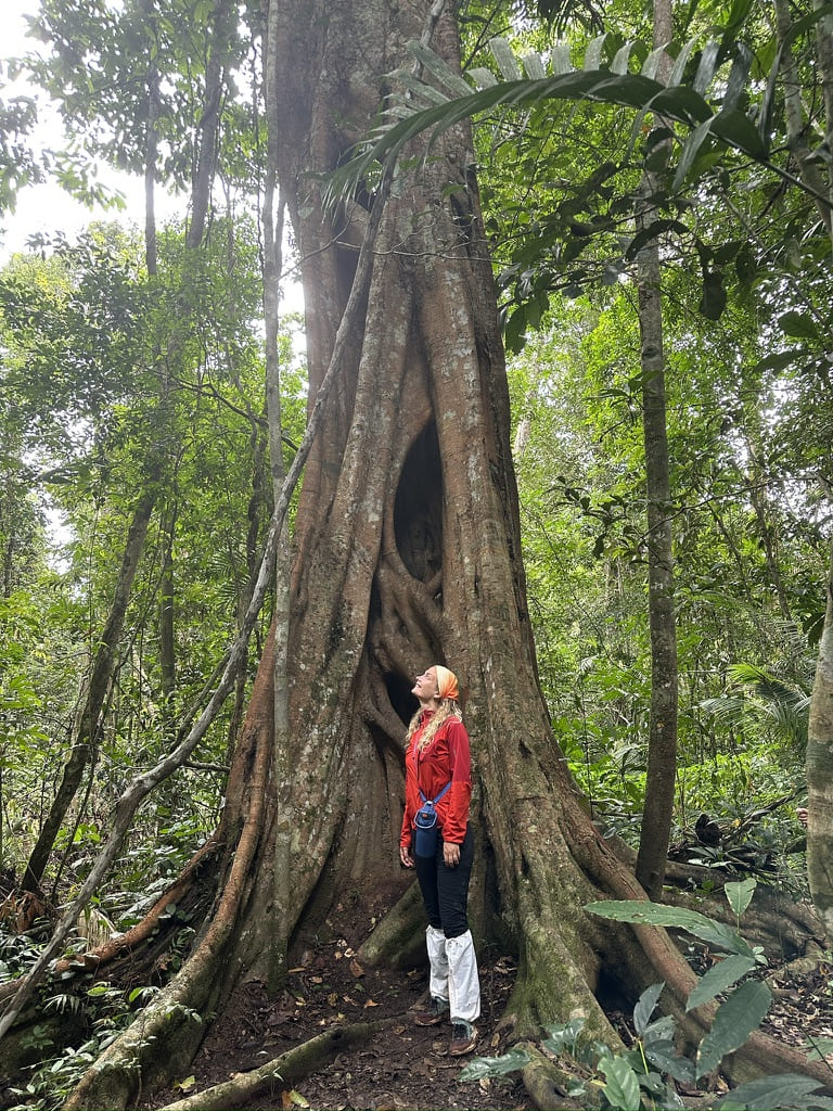 parco nazionale di khao yai: calzari per le sanguisughe