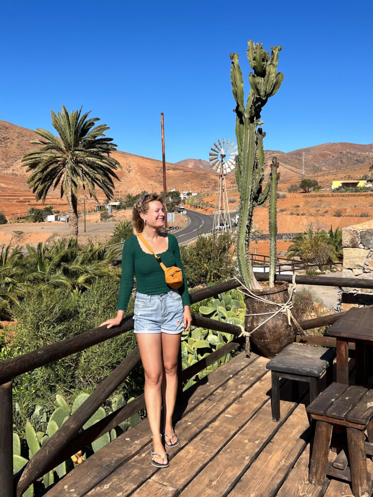cosa vedere a fuerteventura: vega de rio palmas