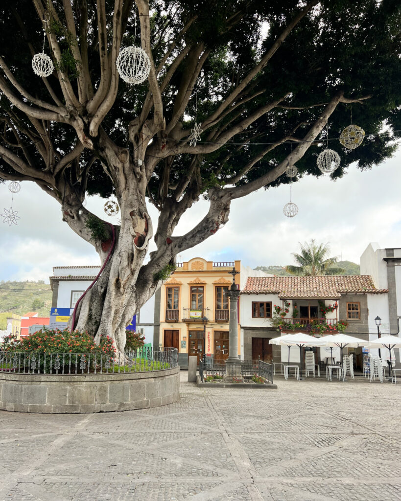 cose da non perdere a gran canaria