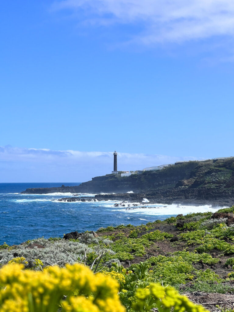 cosa vedere a la palma: fajana