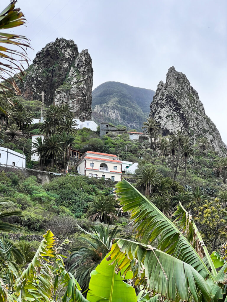 cosa vedere a la gomera: parco los telares