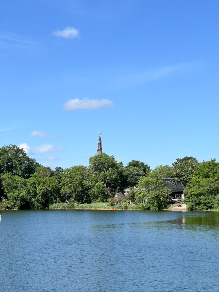 cosa visitare a copenaghen: tour in barca