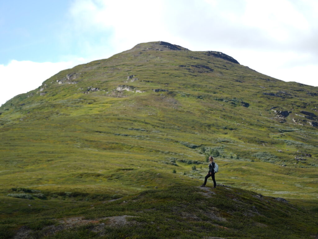 lapponia svedese in estate