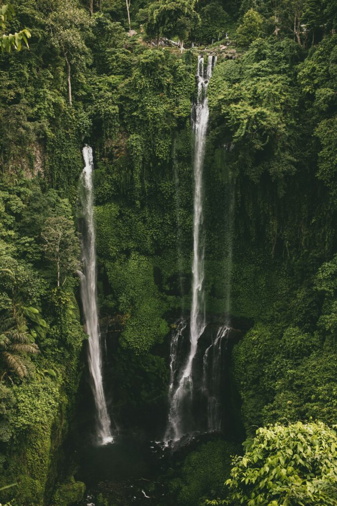 cosa fare a bali