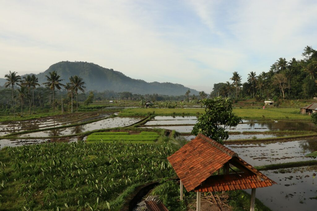 cose da vedere a bali