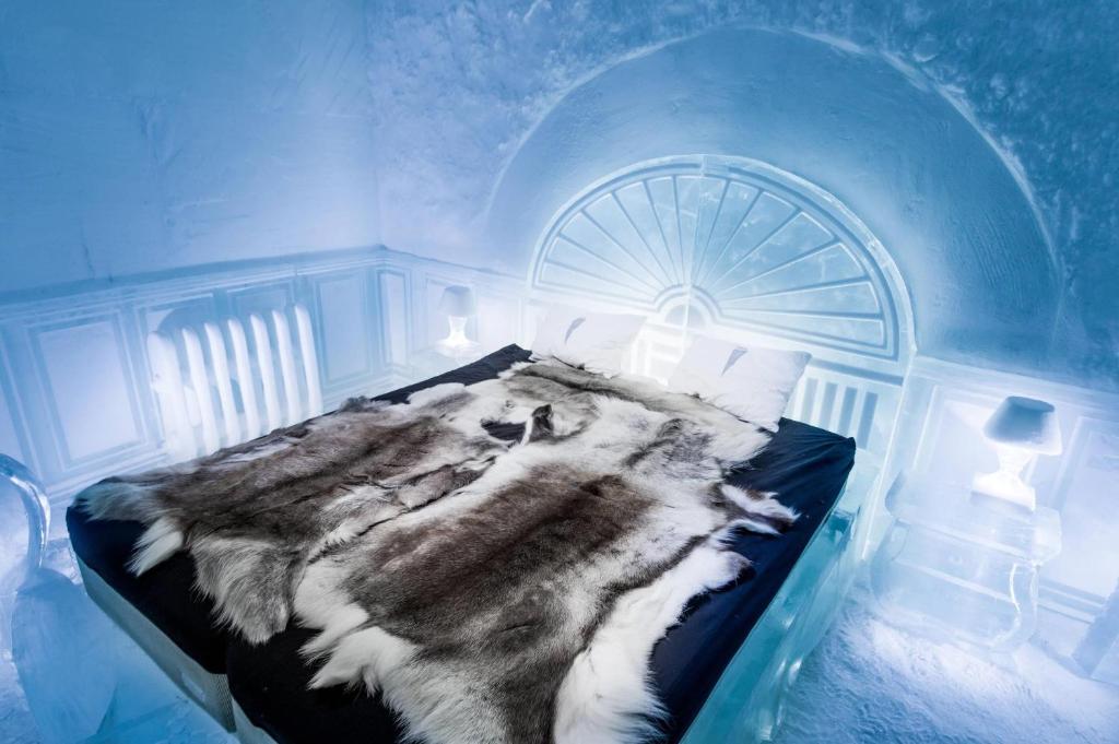 Dove dormire per vedere l&rsquo;Aurora Boreale: i migliori hotel nel mondo
