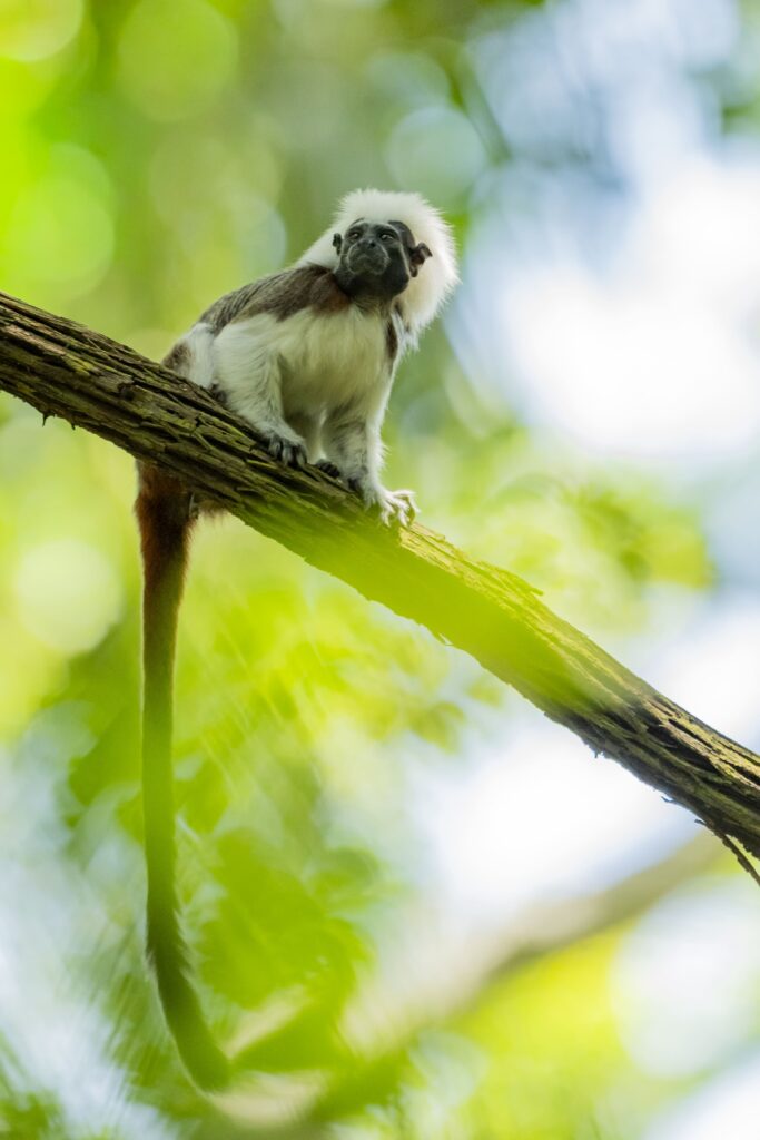 cosa visitare in colombia: Tayrona