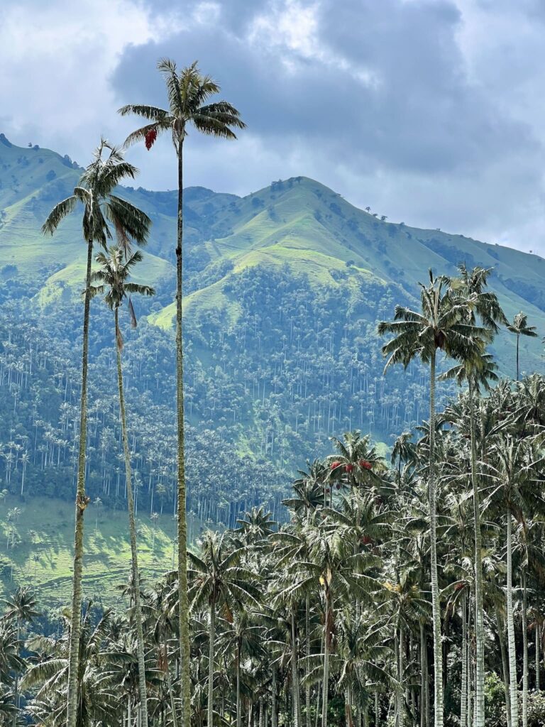 itinerario in Colombia
