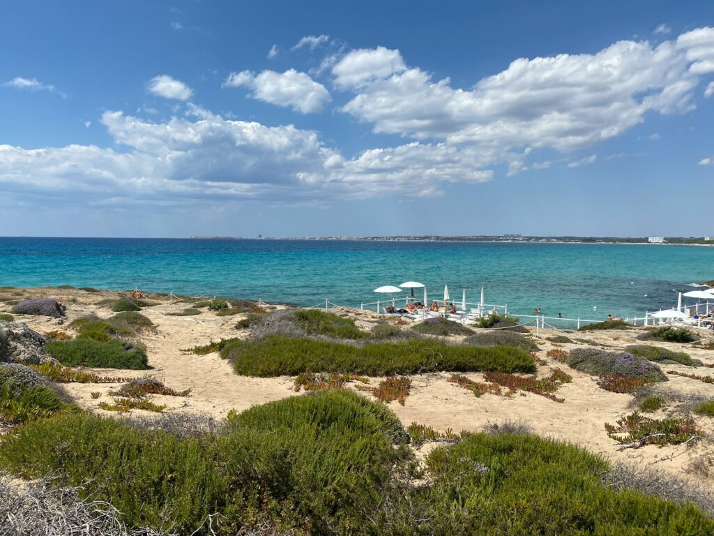 cosa vedere in salento: Gallipoli