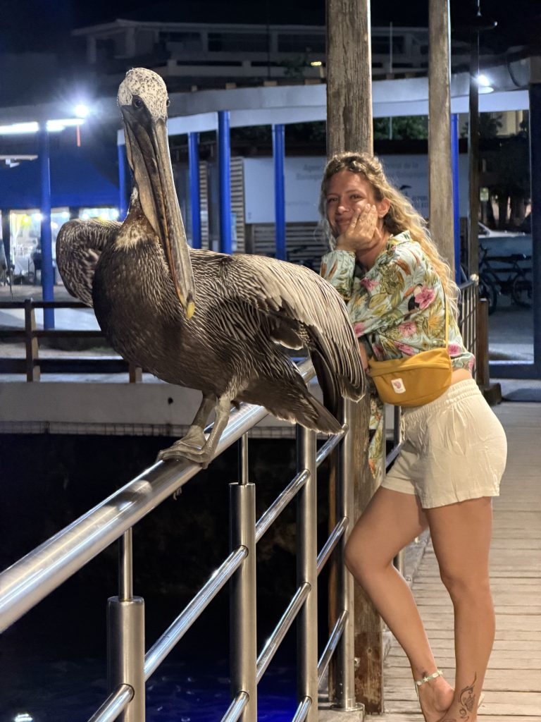 viaggio in ecuador domande frequenti