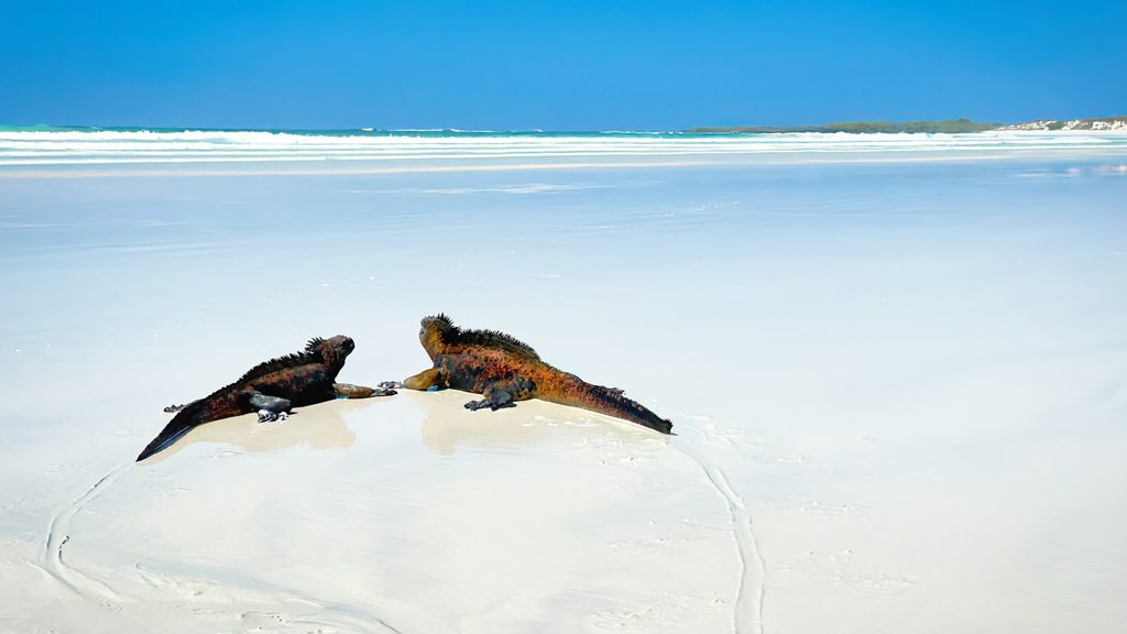 Come organizzare un viaggio alle Isole Galapagos_consigli
