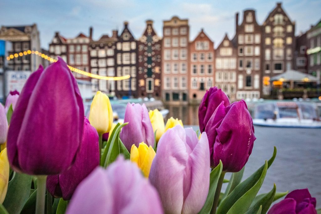 cosa vedere ad Amsterdam 