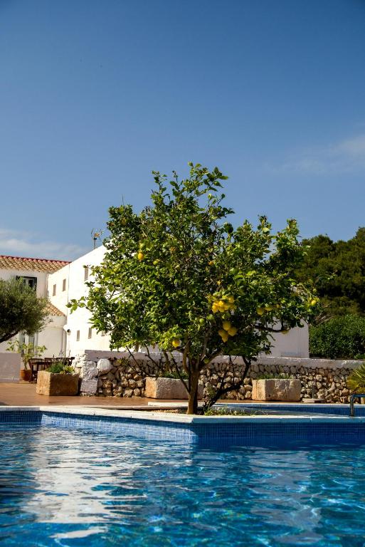Dove alloggiare a Minorca