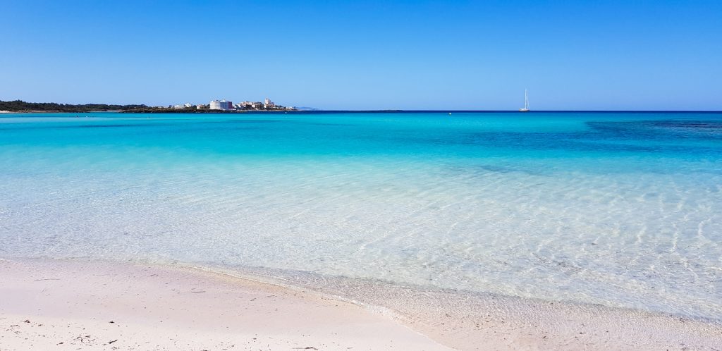 palma di maiorca cosa vedere